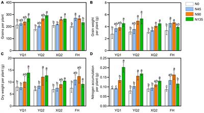 Interkingdom multi-omics analysis reveals the effects of nitrogen application on growth and rhizosphere microbial community of Tartary buckwheat